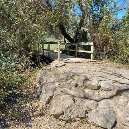 Mi Descanso El Bosque Extérieur photo
